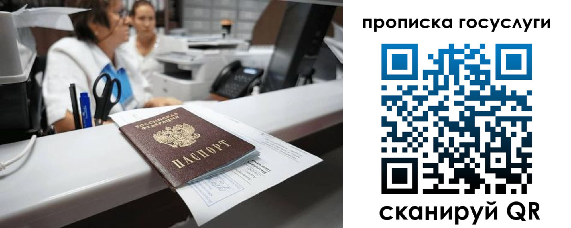 где прописаться в Соколе